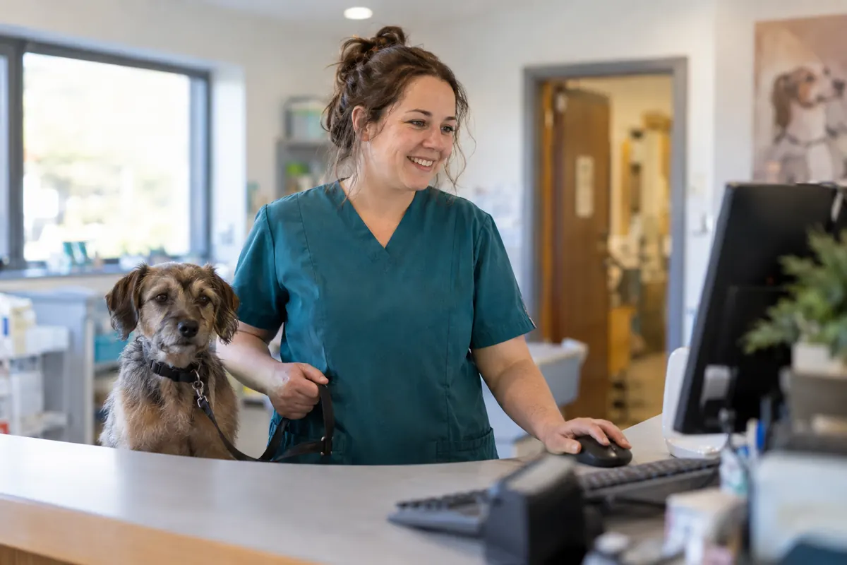 A veterinary nurse in a teal tunic at the clinic front desk with a calm dog beside her